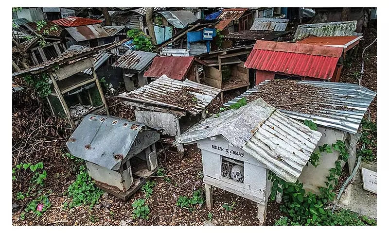 Cebu's Bone Builders: Turning Animal Skeletons into Sustainable Housing Solutions