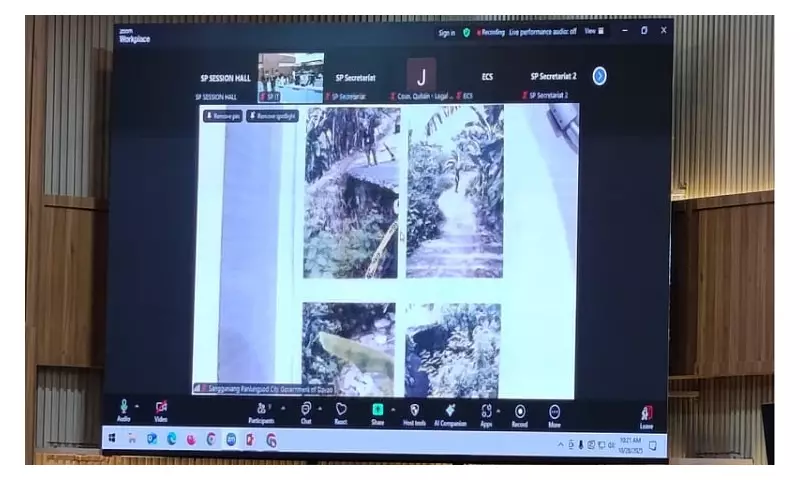 Davao's Paquibato Road Crisis: Residents Demand Immediate Action on Collapsed Infrastructure