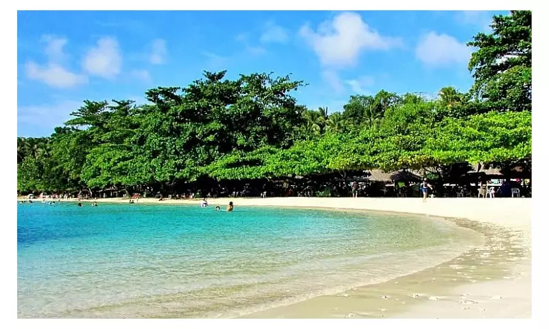 Samal Island Postpones BI Expats Program Following Devastating Earthquake Aftermath