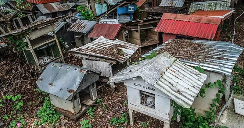 The Price of Peace: How Poverty Dictates Even Death in Cebu