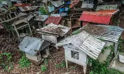 Cebu's Bone Builders: Turning Animal Skeletons into Sustainable Housing Solutions