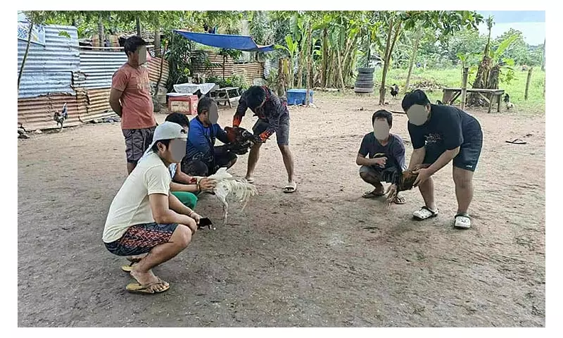 7 Gamblers Arrested in Talisay City Cockfighting Raids