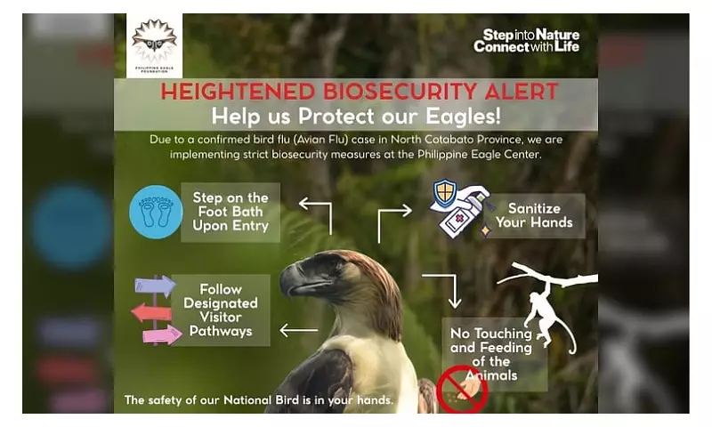 Bird Flu Alert: Pampenao Emergency Fund Heightens Biosecurity Near Cotabato