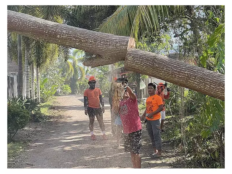 Borbon's Zero Casualty Miracle: How This Cebu Town Survived Typhoon Tino Unscathed