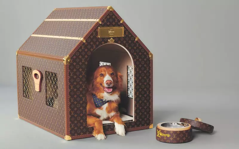 Cebu City Proposes 10% of Pet Registration Fees for Animal Welfare