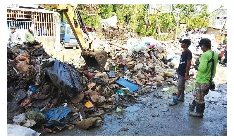 Cebu City Urges Pet and Livestock Safety Ahead of Tropical Depression 'Verbena'