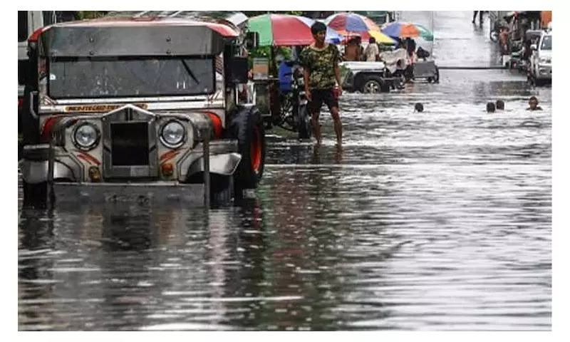 Cebu Hospitals on High Alert as Leptospirosis Cases Feared Post-Typhoon Tino