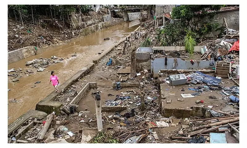 Cebu Leptospirosis Crisis: 106 Cases, 7 Deaths in 20 Days