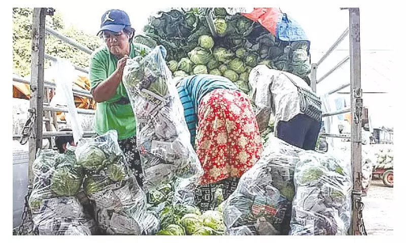 Central Visayas Inflation Hits 2.6% in October: Highest Rate Outside Metro Manila