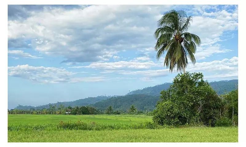 Climate Resilience Boost: Mindanao Farmers Receive P154M Grant for Sustainable Agriculture