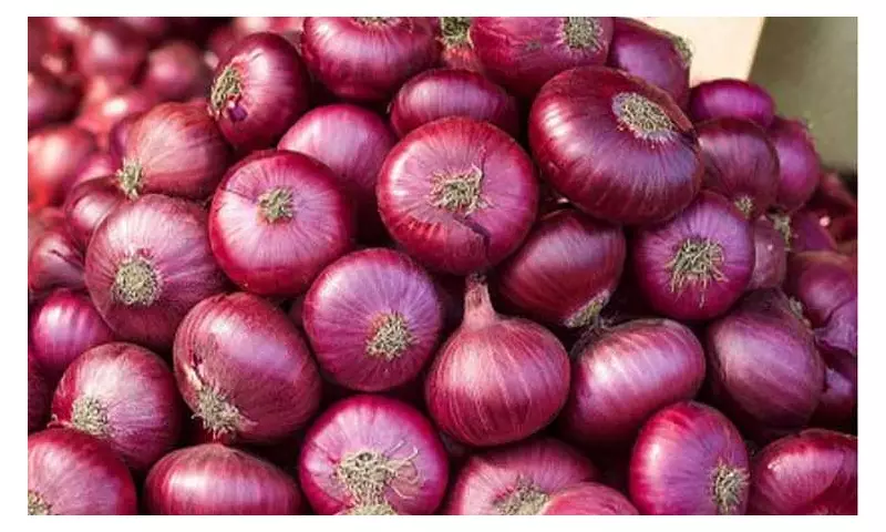 DA Sets Price Cap on Imported Red Onions to Curb Profiteering