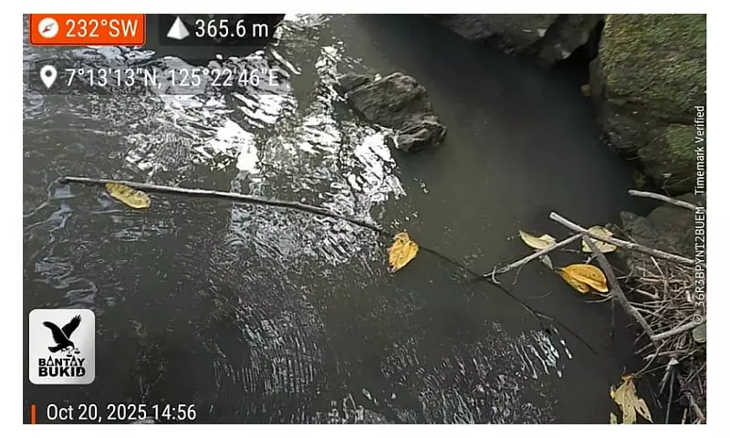 Davao City Council Calls Swine Farm Owner to Account for Panigan-Tamugan River Contamination Crisis