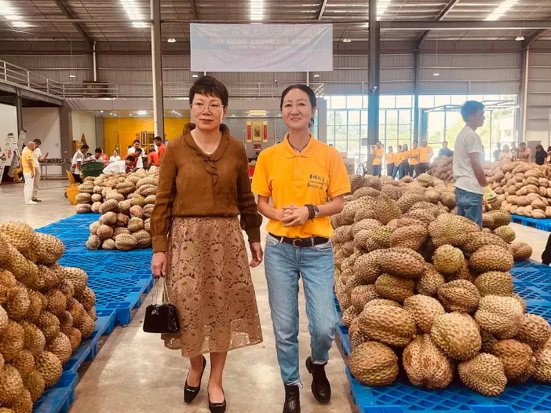 Davao Durian Makes Historic Breakthrough in Chinese Market: A Sweet Success Story