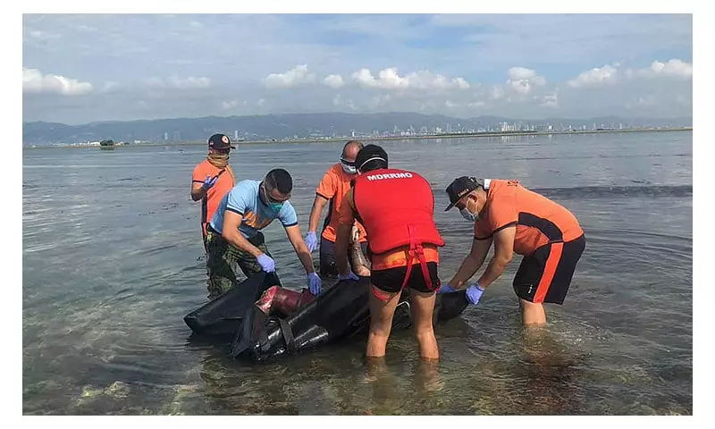 Decomposed Body Found Floating in Cordova Waters Sparks Police Investigation