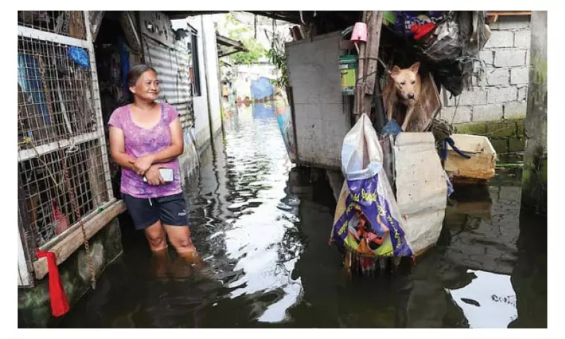 Dingdong Dantes Exposes Flood Control Corruption in New Documentary