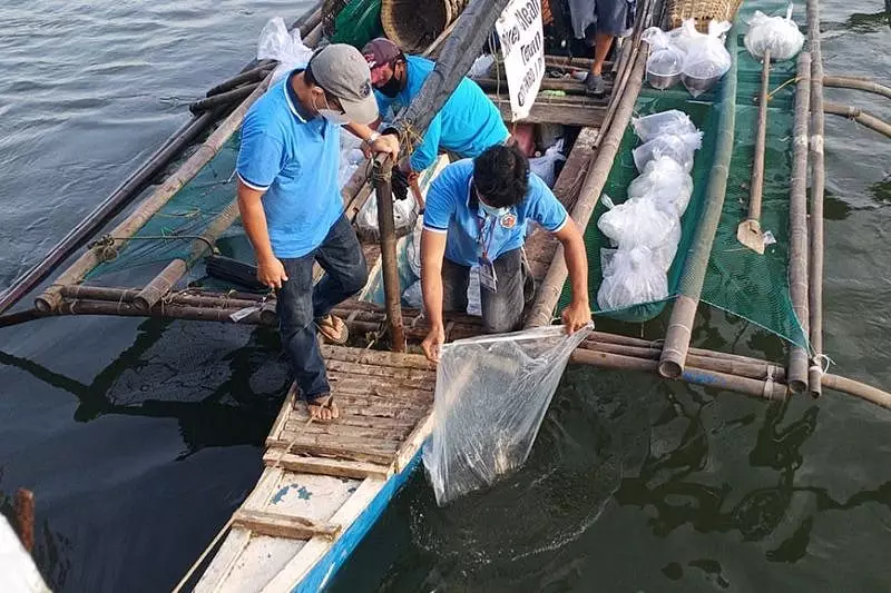 Iloilo River Fishing Ban: 4-Month Closure to Restore Fish Stocks