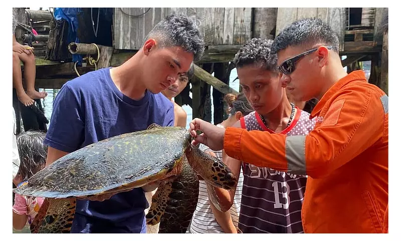 Juvenile Hawksbill Sea Turtle Rescued in Davao City Coastline Operation