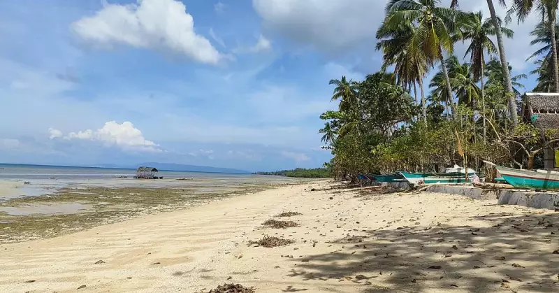 Mactang Beach Camotes: Free Historic Shore With Magellan Link
