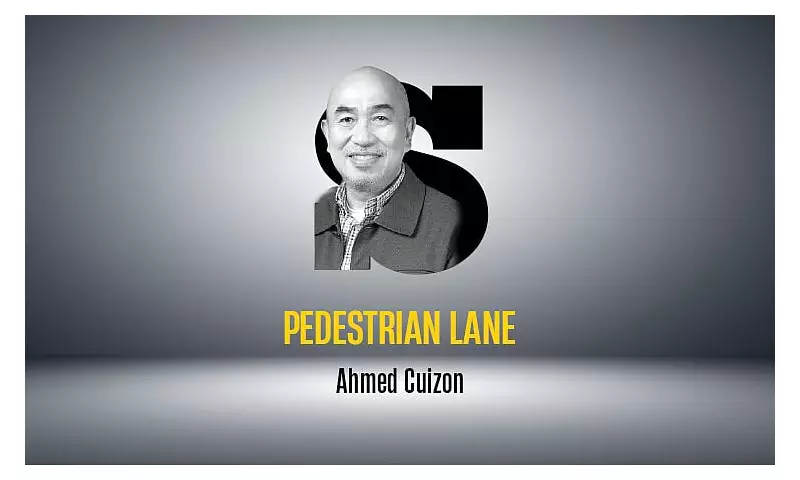 P17.5M Tree Transfer & P150M Bike Lane: Failed Cebu Projects