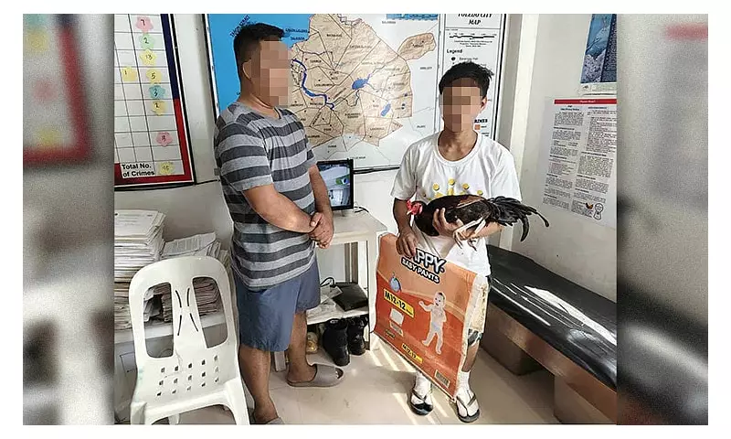 P80,000 Fighting Cocks Stolen in Toledo City Farm Robbery