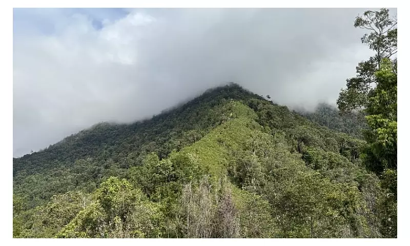 Sandunganan Peak: Davao Oriental's New Hiking Gem for Beginners