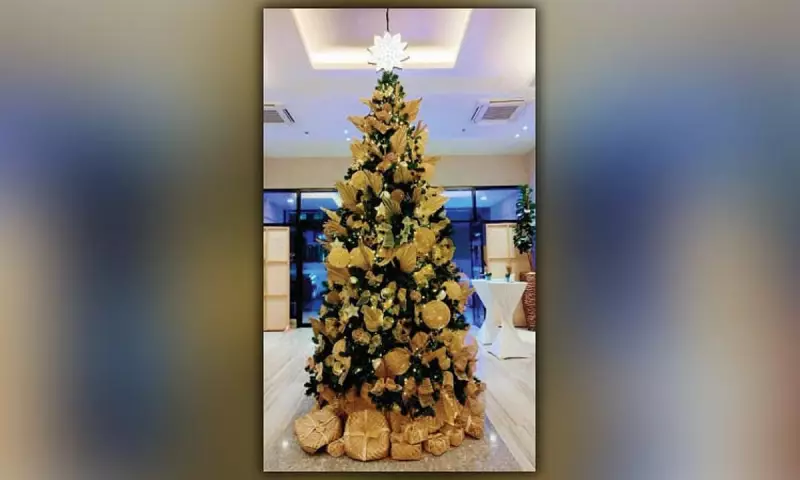 Seda Cebu Lights Christmas Tree, Uniting Community in Festive Joy