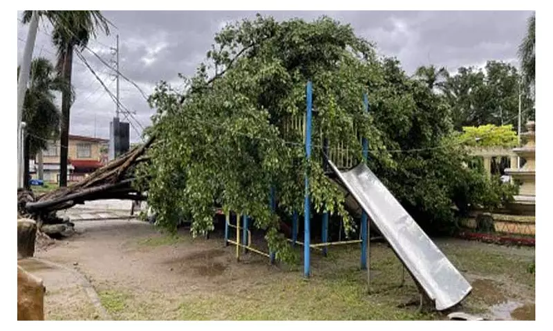 Super Typhoon Uwan Leaves 3M Homes Without Power in Luzon, Visayas