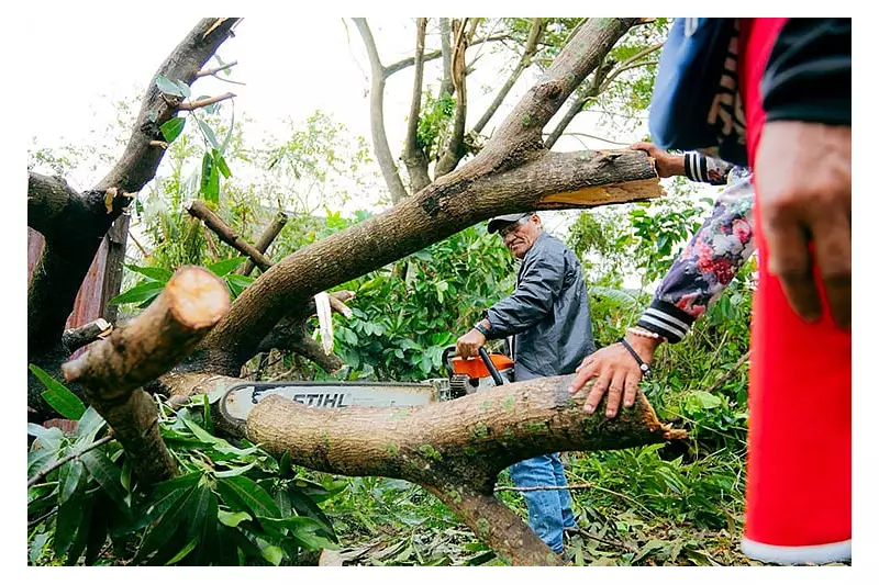 Typhoon Tino Damages 38 Bacolod Schools, 100 Classrooms Affected