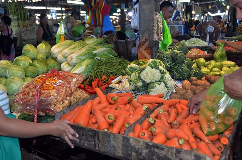 Typhoon Tino to Drive Up Agricultural Inflation in November 2025
