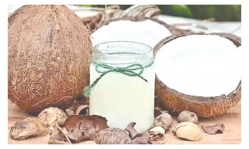US Exempts Philippine Coconut Oil, $4B Agri Exports from 19% Tariff