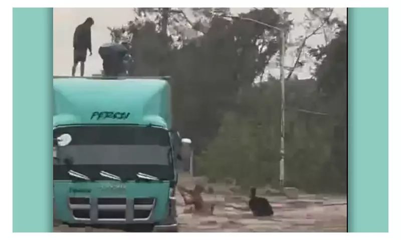 Wing Van Heroes Fired After Saving 6 Lives During Typhoon Tino