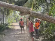 Borbon's Zero Casualty Miracle: How This Cebu Town Survived Typhoon Tino Unscathed