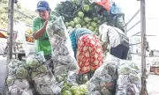 Central Visayas Inflation Hits 2.6% in October: Highest Rate Outside Metro Manila