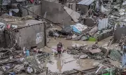 Leptospirosis Outbreak in Cebu: Typhoon Tino's Deadly Aftermath