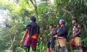 Mount Tambuyong: New Philippine Eagle Sanctuary Discovered in Davao de Oro
