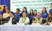 PHP20/Kilo Rice for 800K Teachers Under BBM Na Program