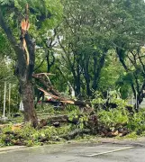 Power Crisis in Bacolod: Groups Urge Unity After Typhoon Tino