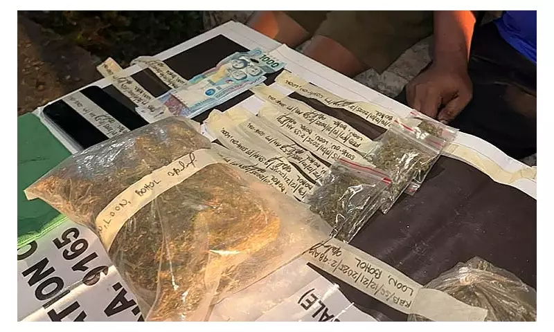 Bohol Police Seize P73K in Marijuana, Arrest Alleged Provincial Dealer