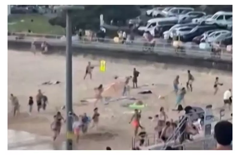 Bondi Beach Shooting Suspects Stayed in Philippines for Nearly a Month