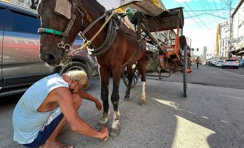 Cebu City Regulates Tartanillas: New Ordinance Sets Fees, Uniforms