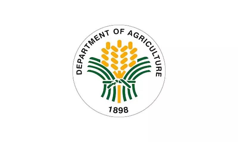 DA: Viral Fertilizer Issue in Ilocos Norte Due to Wrong Use, Not Quality