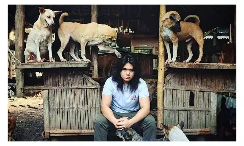Davao Animal Shelter Dispute: HAC Refutes City's Claims, Needs ₱9M to Relocate
