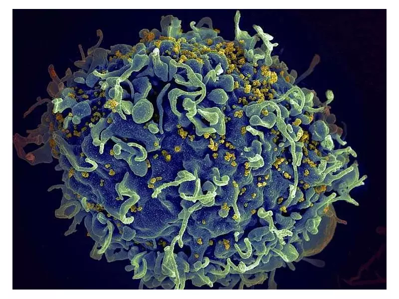 DOH Official Urges Open Safe Sex Talks to Fight HIV in Philippines