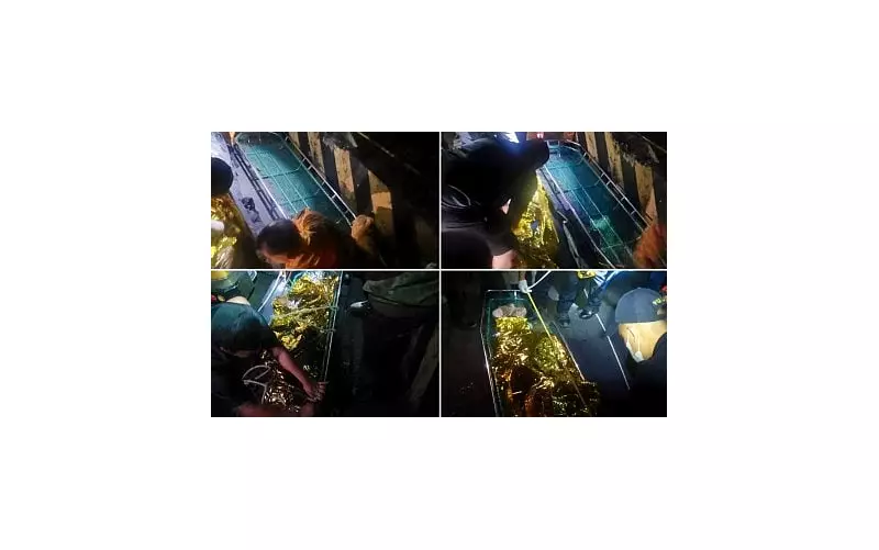 Ex-DPWH Official Cabral Found Dead in Benguet Ravine, PNP Probes Link to Flood Control Scandal