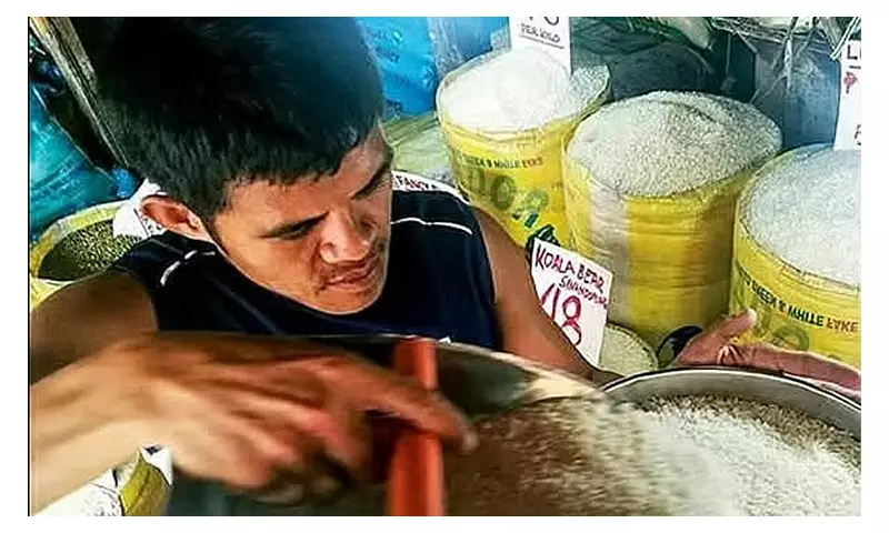Gov't Holds Rice Price at P43/Kilo as Tariff Hike Looms in January 2025