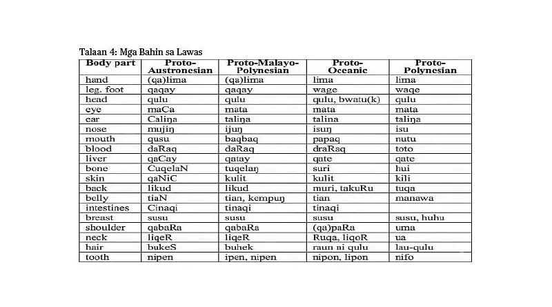Linguistic Study Reveals Cebuano's Deep Austronesian Roots