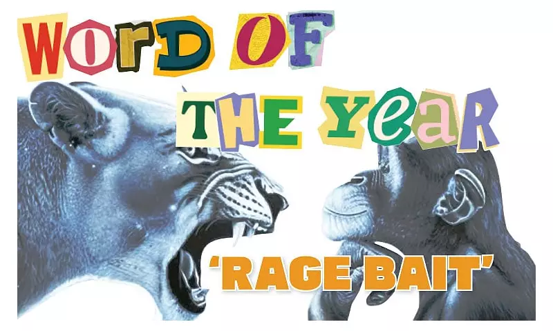 Oxford's 2025 Word of the Year: 'Rage Bait' Triples in Usage