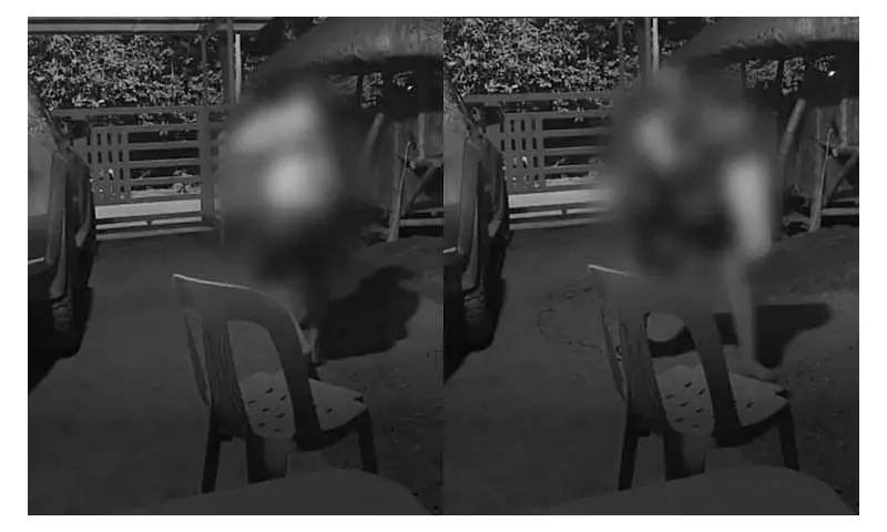 P4M Bounty for Killers of Digos Barangay Captain Shot on Facebook Live