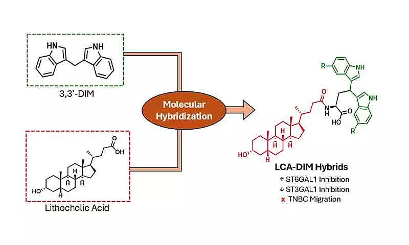 UP Diliman Chemists Develop New Hybrid Compounds to Fight Breast Cancer