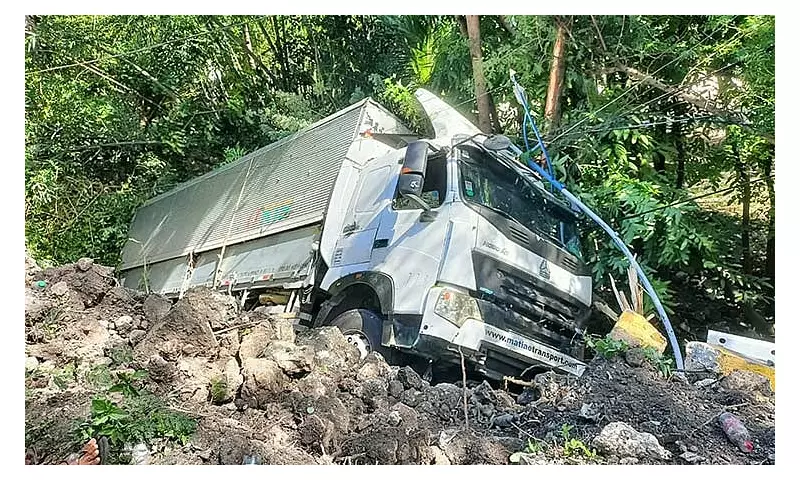 Wing Van Plunges into Ravine in Oslob, Driver Survives Thanks to Tree